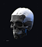 Cyborg Skull, Nikolay Razuev : Homework for the course on Learnsquared - Concepting in ZBrush with Alex Figini