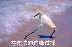 在作死的边缘试探表情包 在搞事的边缘试探表情包