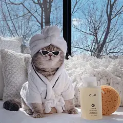 #萌宠情侣头像#
- 要学会享受生活. (采集ID:º西柚西柚º)
来源:@头像壁纸馆吖-微博