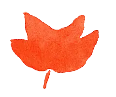 热带水彩植物叶子花卉海报请假元素免抠PNG图案PS素材 (199)
