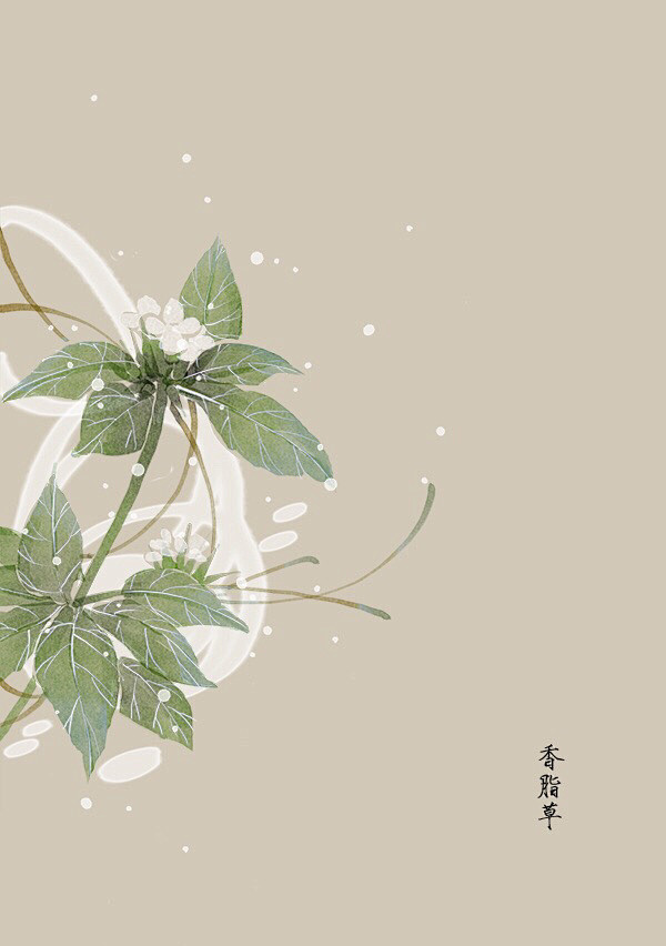 水彩 植物花卉 插画 artistic青...