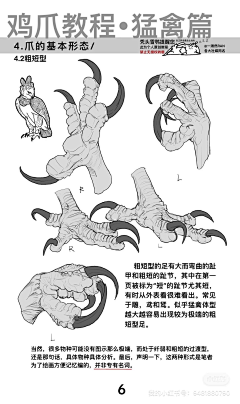 普通人干事采集到G---怪X动物