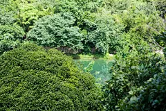 翠绿树木山峰风景摄影图