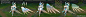 008f1TfPgy1hyvgq2r2xej37wm1lpqv8.jpg (10246×2077)