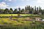 澳大利亚Adelaide植物园湿地