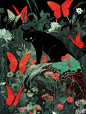 蝶恋猫