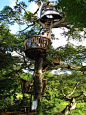 树屋世界—消解人与自然的边界 / Takashi Kobayashi – mooool木藕设计网