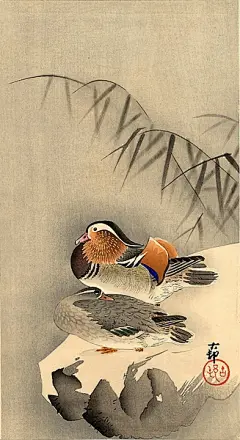 【小原古邨（日本）绘画作品】
