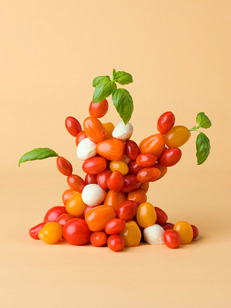 Carl Kleiner 蔬菜水果的艺术...