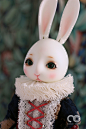 COCOTRIBE的BJD娃娃--BJD兔子罗茜-8分/6分