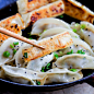 Chinese Cabbage Potstickers