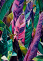 美术工艺,艺术,概念,主题,自然_73964524_Tropic, 2005 (Oil on canvas)_创意图片_Getty Images China