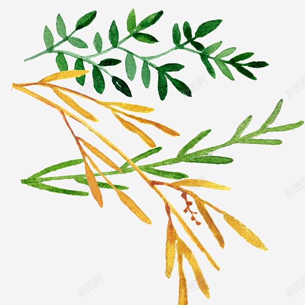 彩色树叶手绘水彩植物叶子图案素高清素材 ...