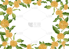 花瓣素材-其他图片采集到其他图片