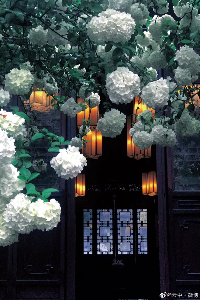 6f9fcc26ly1h0z7qmpw2aj21s62oakjm.jpg (2310×3466)-花瓣网