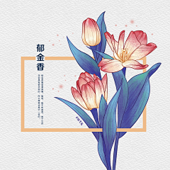 陆溢晨采集到植物插画