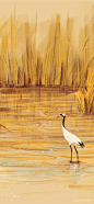 凄草在江面上洒下点点金光，白鹤在芦荡间捡拾这一季节的过往。