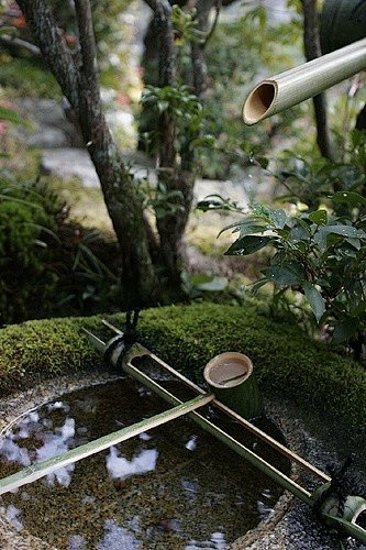 逐鹿和蹲踞。“逐鹿”為日本園林中一竹制小...