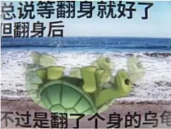 分享新鲜的表情包 ​​​