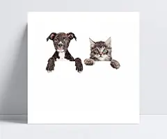 宠物猫狗与展板图片|图片素材,动物图片,狗狗图片,展板背景,海报背景,小猫,猫咪,小狗,狗狗,宠物犬,萌宠,可爱动物,动物摄影