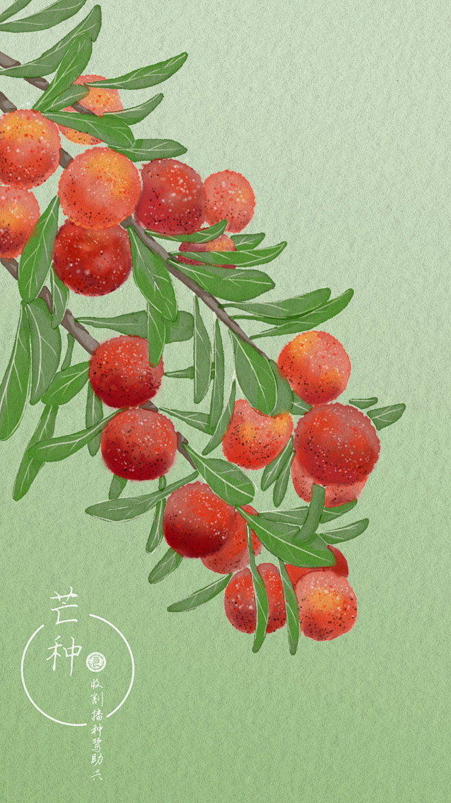 芒种杨梅节气丰盛良食手绘插画壁纸
