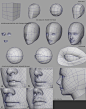 Basic hand modeling before distortions and adjusts. | 3d modeling tutorial, Maya modeling, Blender models