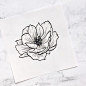 黑白花朵针管笔手绘，来自插画师youandnah ​ ​​​​
