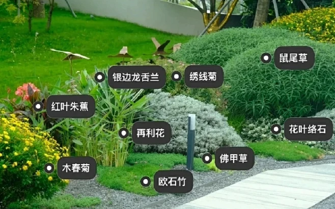 植物配置实景 (177)-花瓣网