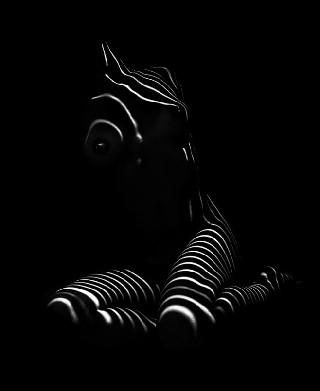 White Stripes： Photo...