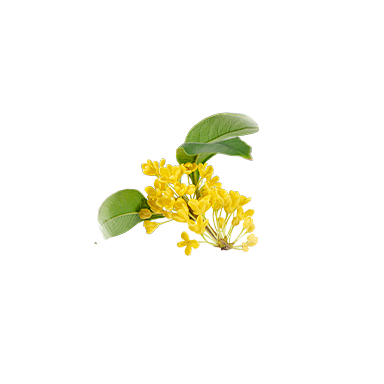 906