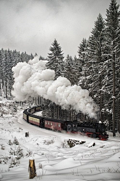 翠玉竹林采集到雪景