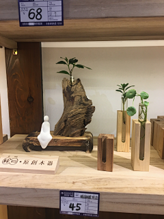 joywenwenma采集到手工艺