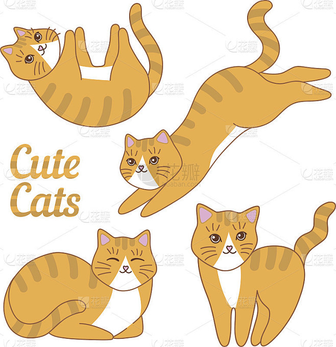 漂亮小猫向量组