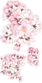 桜
【素材】樱花素材特辑 : 三月已经过去将近一半了。
樱花也开始渐渐绽放了。
说到樱花，大家会想到什么呢？
毕业、入学、赏樱、还是樱花饼…
关于春天的联想真是丰富多彩呢。
今天，在这个大好的春季，为大家介绍的是关于樱花的素材特辑。
如果喜欢这样美好的樱花，请别忘和你的朋友分享。