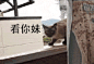  #GIF# #搞笑#