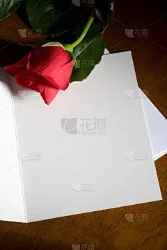 贺卡,红色,玫瑰,空白的,信函,垂直画幅,信封,友谊,浪漫,请柬