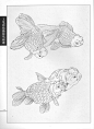 《工笔画线描动物画谱》之金鱼篇