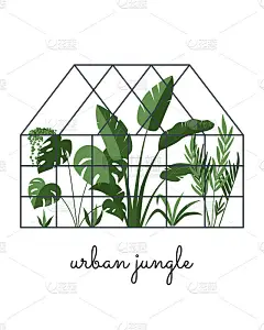 种植热带植物的玻璃温室。植物花园。盆栽植物和盆花。园艺的元素。冬天的花园。疯狂的植物女士手绘打印明信