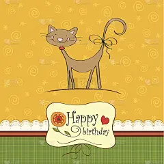 生日贺卡和有趣的猫