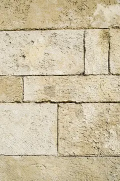 老石墙特写_5713153095