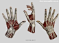 #手掌# #解剖# #肌肉#