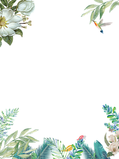 Miss_zhan采集到一花一叶