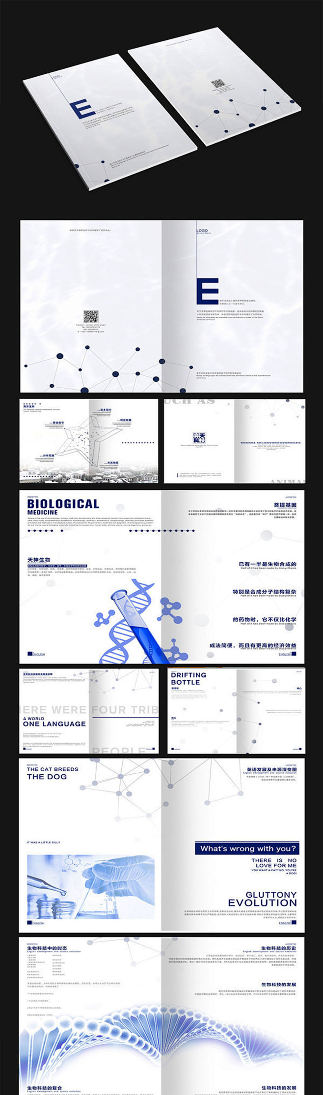生物科技简约画册