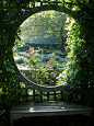 bench in a garden gazebo