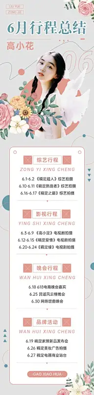 简约风明星应援行程总结长图