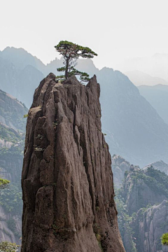比斯凯特采集到场景临摹