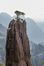 Awesome how this lonely tree managed to grow on the top of the mountain. Seems  as if the rock's actually just there to hold the plant. __ HuangShan Mountains 39