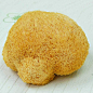 冠耳 特级猴头菇 猴头菌 刺猬菌 山珍猴头 素中荤 3件包邮