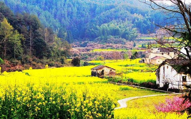 中国最美的乡村婺源高清壁纸风景图片回车桌面