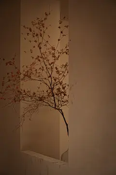 水边林下茶馆 | 宋代美学与现代建筑的完美融合-0